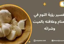 تفسير رؤية الثوم في المنام وعلاقته بالميت وشرائه تفسير حلم الثوم في المنام