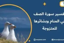 تفسير سورة الصف في المنام وبشائرها للمتزوجة تفسير حلم سورة الصف في المنام