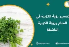 تفسير رؤية الكزبرة في المنام ورؤية الكزبرة الناشفة تفسير حلم الكزبرة في المنام