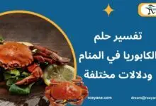 تفسير حلم الكابوريا في المنام مع ذكر أشهر رؤياها بالتفصيل تفسير رؤية الكابوريا في المنام