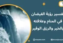 تفسير رؤية الفيضان في المنام وعلاقته بالخير والرزق الوفير تفسير حلم الفيضان في المنام