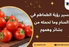 تفسير رؤية الطماطم في المنام وما تحمله من بشائر وهموم تفسير حلم الطماطم في المنام