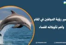 تفسير رؤية الدولفين في المنام وأهم تأويلاته للنساء تفسير رؤية الدولفين في المنام