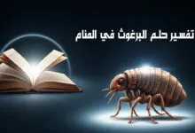 تفسير حلم البرغوث في المنام هل يحمل دلالات تحذيرية أم بشائر تفسير حلم البرغوث في المنام للمتزوجة